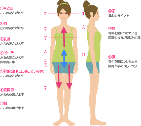 正しい姿勢とエロンゲーション